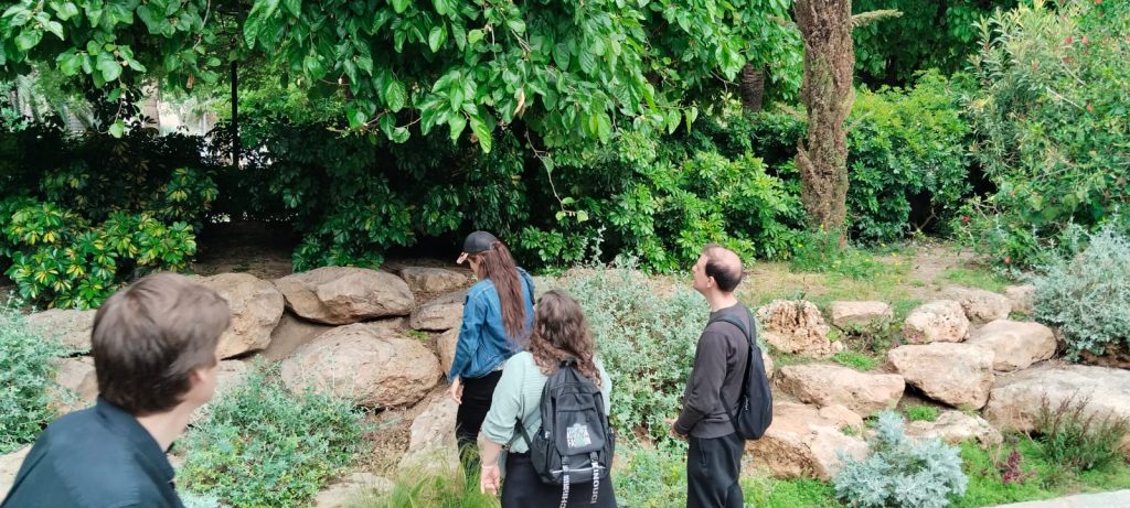 Personas en el parque