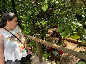 Personas visitando Natura Parc