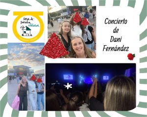 Collague con fotos de personas en un concierto