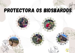 Collague de fotos de niños con perros