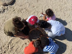 Niños recogiendo basura en la playa