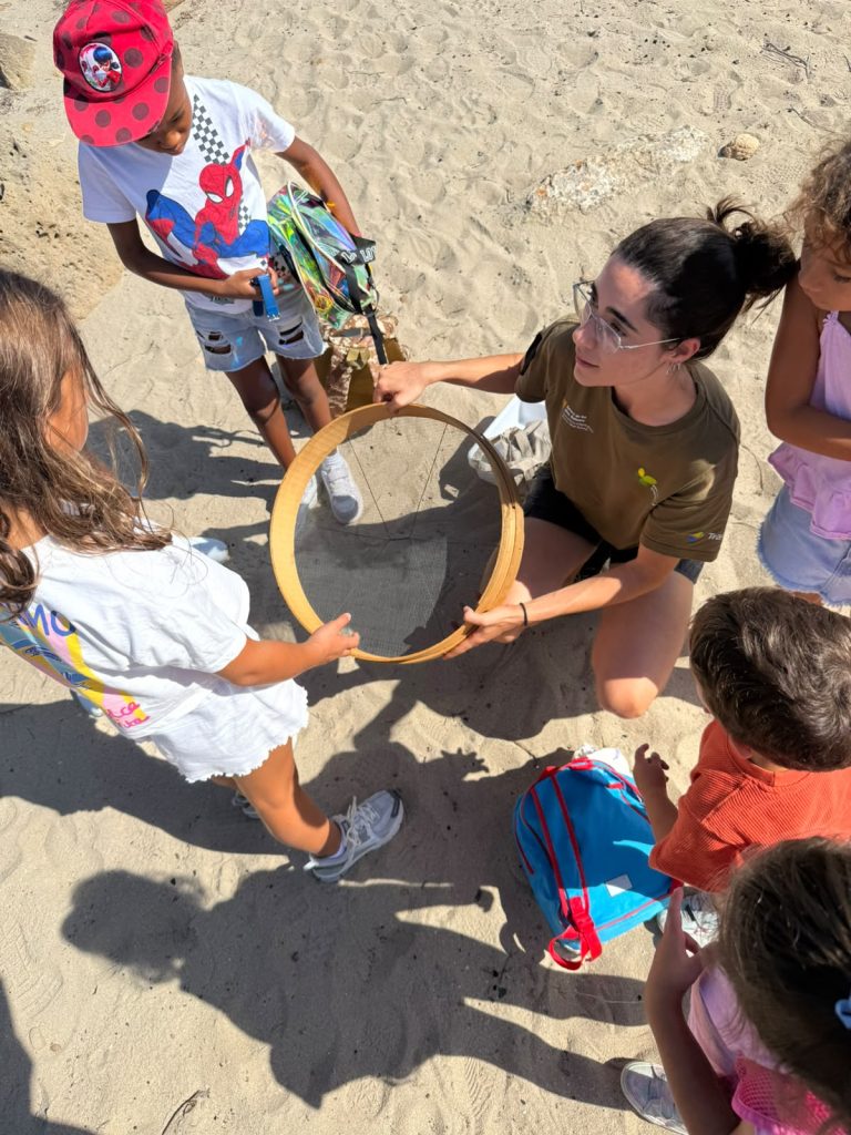 Niños recogiendo basura en la playa
