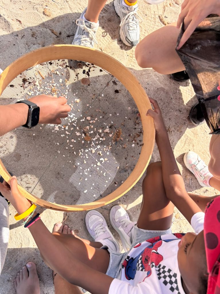 Niños recogiendo basura en la playa
