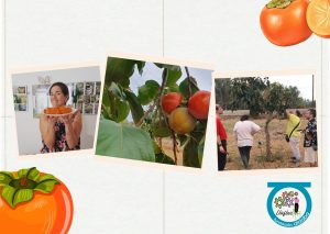 Fotos de personas recogiendo frutos del huerto y luego en el plato